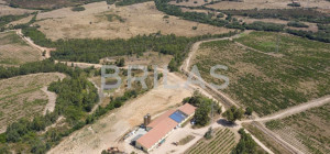 Tenuta vitivinicola biologica con 160 ettari e vista mare