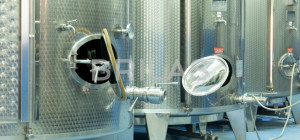 Tenuta vitivinicola biologica con 160 ettari e vista mare