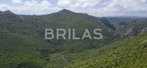 Tenuta vitivinicola biologica con 160 ettari e vista mare