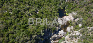 Tenuta vitivinicola biologica con 160 ettari e vista mare