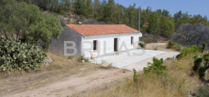 Tenuta vitivinicola biologica con 160 ettari e vista mare