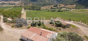 Tenuta vitivinicola biologica con 160 ettari e vista mare