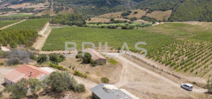 Tenuta vitivinicola biologica con 160 ettari e vista mare