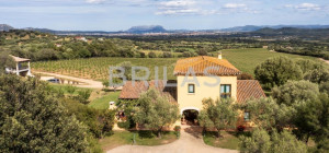Tenuta Monte Pino – Prestigious estate with vineyard and sea views