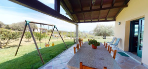 Tenuta Monte Pino – Prestigious estate with vineyard and sea views