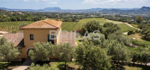 Tenuta Monte Pino – Prestigious estate with vineyard and sea views