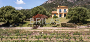Tenuta Monte Pino – Prestigious estate with vineyard and sea views
