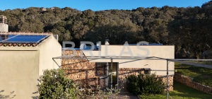 Gallura autentica: charme rurale e investimento nel cuore della natura