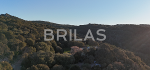 Gallura autentica: charme rurale e investimento nel cuore della natura