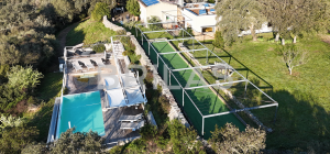 Gallura autentica: charme rurale e investimento nel cuore della natura