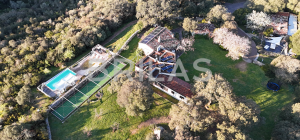 Gallura autentica: charme rurale e investimento nel cuore della natura