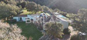 Gallura autentica: charme rurale e investimento nel cuore della natura