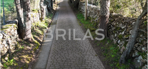 Gallura autentica: charme rurale e investimento nel cuore della natura