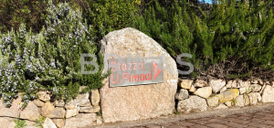 Gallura autentica: charme rurale e investimento nel cuore della natura