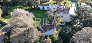 Gallura autentica: charme rurale e investimento nel cuore della natura