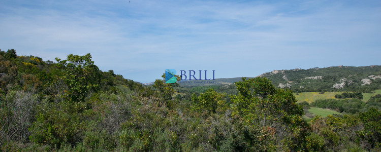 Terreno agricolo a soli 7 km da Palau