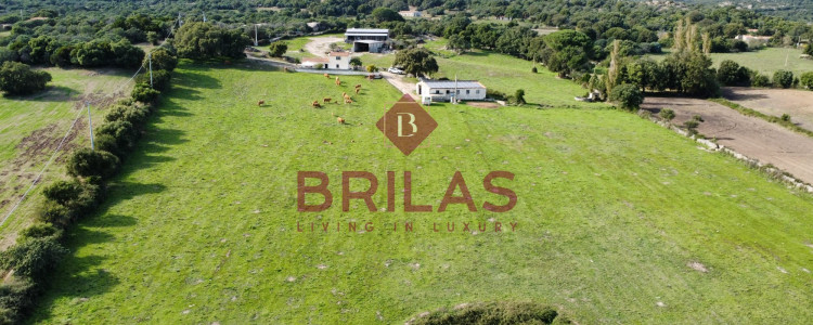 Azienda agricola nel cuore della Gallura