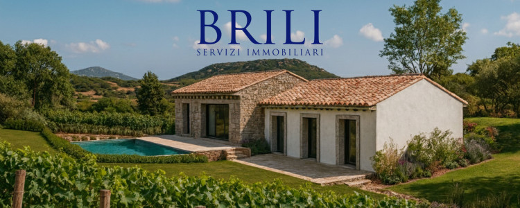 Terreno agricolo panoramico con progetto approvato per casa rurale e piscina