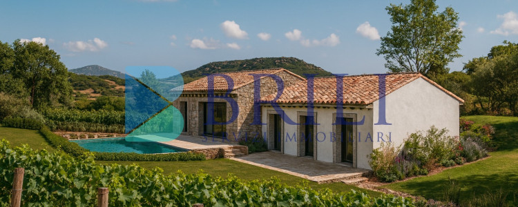 Panoramic agricultural land with approved plans for a country house and swimming pool