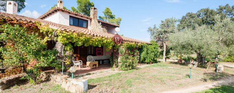 Villa rustica con vigna e uliveto
