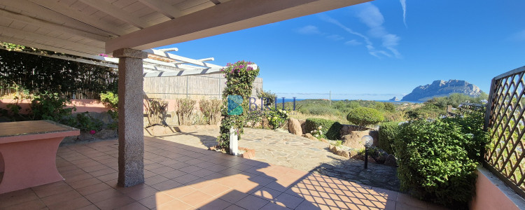 Porto San Paolo - Semi-detached Villa with Sea view