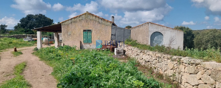 Vendesi Tenuta di 16 Ettari con Fabbricati