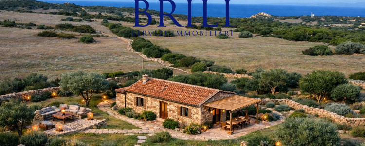 Dream Estate Overlooking Corsica